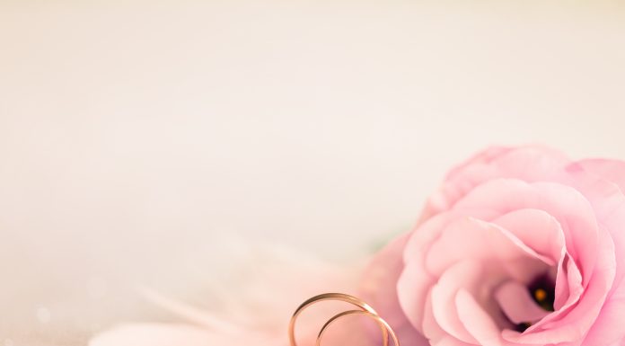 Wedding Dress Shopping