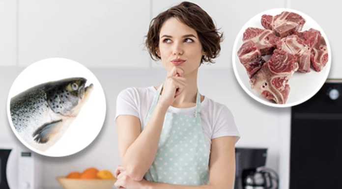 Marine Collagen V’s Bovine Collagen