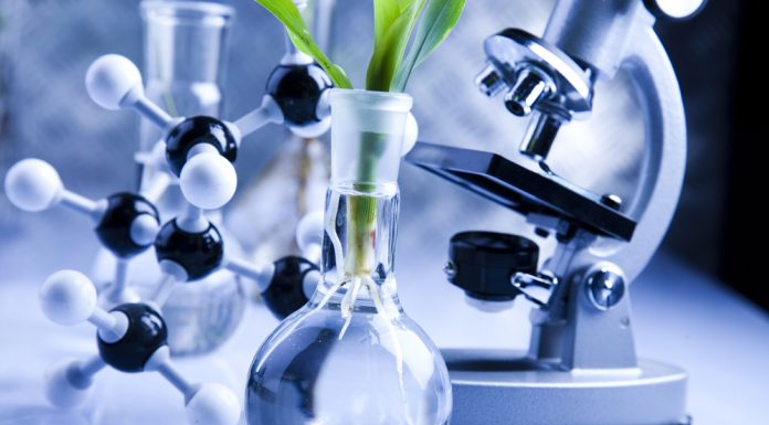 BiotechNews.com.au Celebrates Sixth Year of Publishing Australian Biotech News